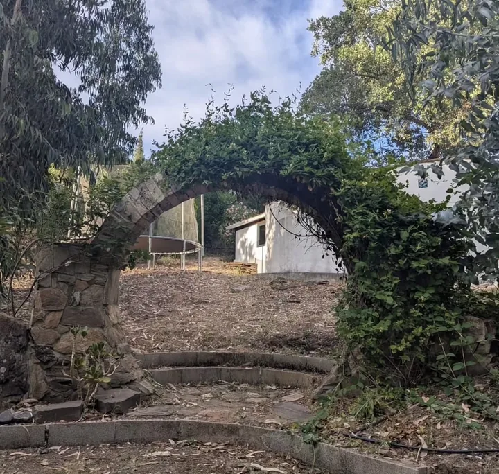 Garden arch built with natural stone, with climbing plants and steps beneath it